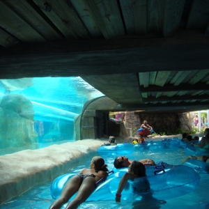 Aquatica_Sea_World_052