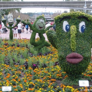 Flower-Garden-Festival-23