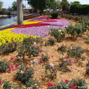 Flower-Garden-Festival-45