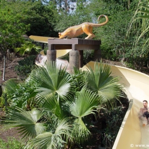 Coronado_Springs_Resort_Pool_07