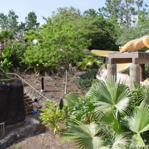 Coronado_Springs_Resort_Pool_09