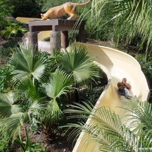 Coronado_Springs_Resort_Pool_15