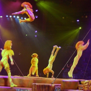 Lion_King_Show_22