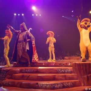 Lion_King_Show_32