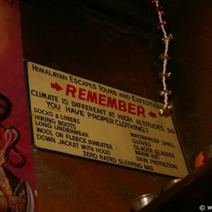 Expedition_Everest_Queue_23