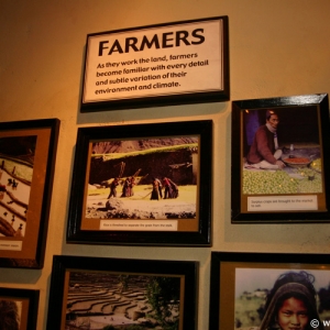 Expedition_Everest_Queue_41