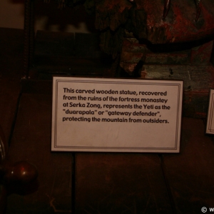 Expedition_Everest_Queue_43