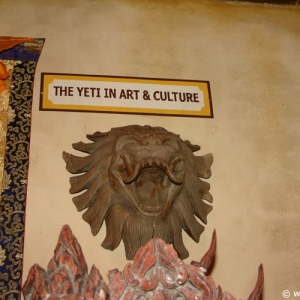 Expedition_Everest_Queue_48