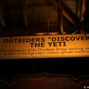 Expedition_Everest_Queue_55