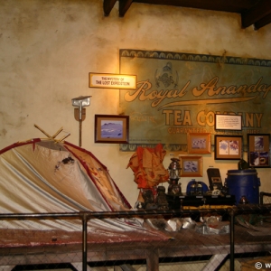 Expedition_Everest_Queue_57