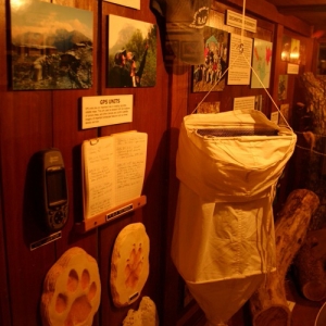 Expedition_Everest_Queue_78