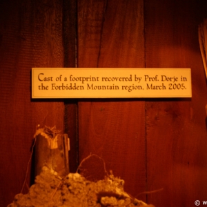 Expedition_Everest_Queue_82