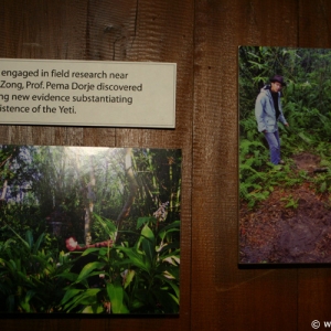 Media 'Expedition_Everest_Queue_83' in category 'Expedition Everest'