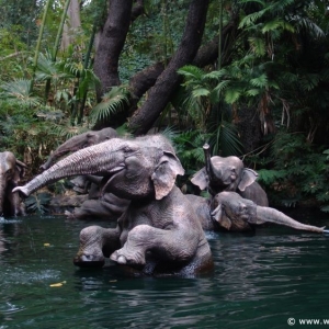 Media 'Adventureland-05' in category 'Jungle Cruise'