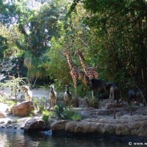 Adventureland-10