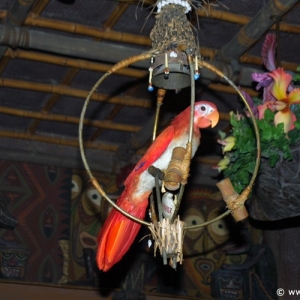 Adventureland_-_Enchanted_Tiki_Room_06