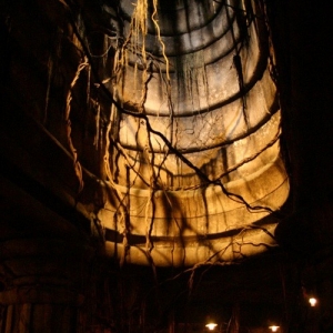 Adventureland_-_Indiana_Jones_Adventure_06