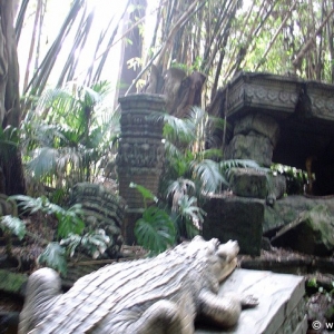 Adventureland_-_Jungle_Cruise_02