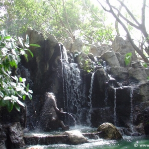 Adventureland_-_Jungle_Cruise_04