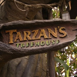 Adventureland_-_Tarzan_Treehouse_00