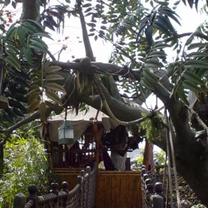 Adventureland_-_Tarzan_Treehouse_03