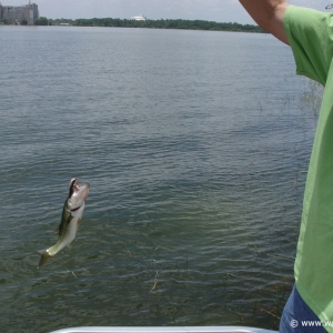 Fishing_at_Disney_World_22