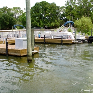 Fishing_at_Disney_World_42