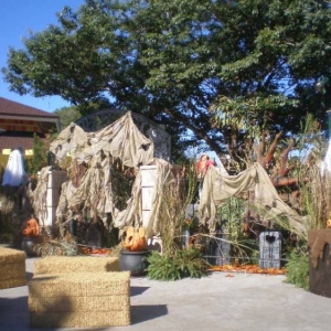 DowntownDisney-HalloweenGarden