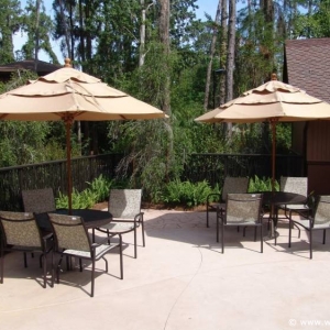Media 'Disney_Treehouse_Villas_73' in category 'Treehouse Villas'