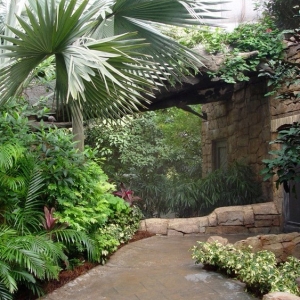 Media 'Discovery_Cove_Aviary_02' in category 'Discovery Cove'
