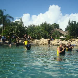 Discovery_Cove_Coral_Reef_36