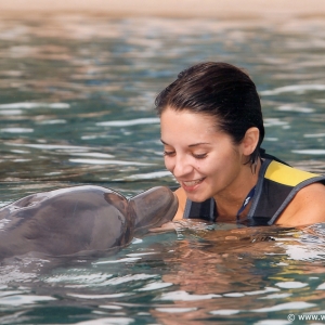 Discovery_Cove_Dolphin_Encounter_01