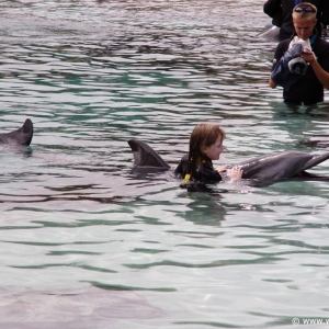 Discovery_Cove_Dolphin_Encounter_11