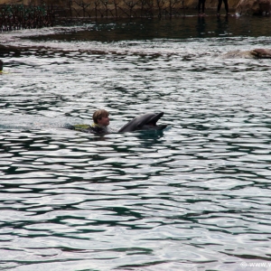 Discovery_Cove_Dolphin_Encounter_21