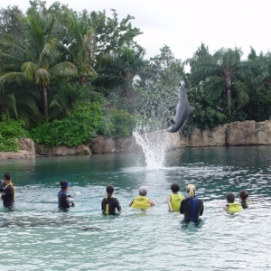 Discovery_Cove_Dolphin_Encounter_27