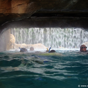 Discovery_Cove_Tropical_Pool_03