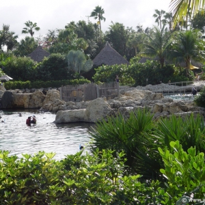 Discovery_Cove_Tropical_Pool_18