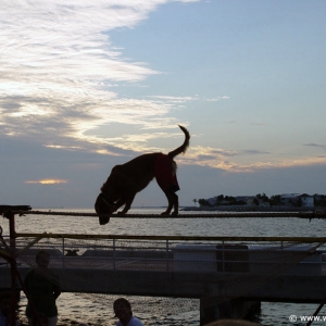 Mallory-Square-13