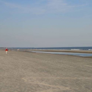HHBeach2