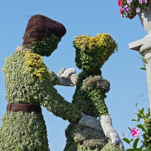 Cinderella topiary