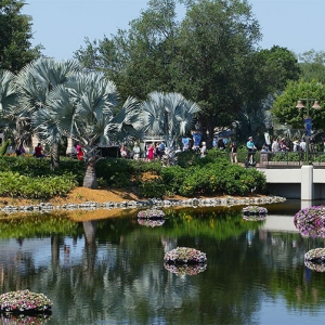 Epcot greenery