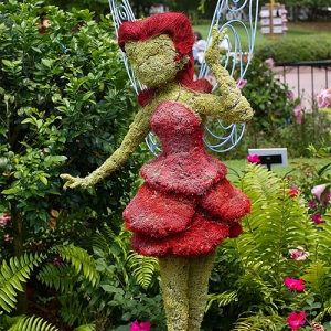 Rosetta topiary