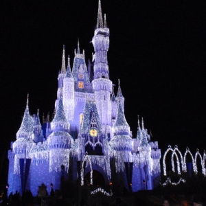 Cinderella Castle in December