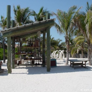 Castaway-Cay_086