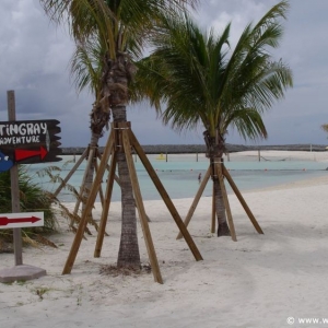 Castaway-Cay_102