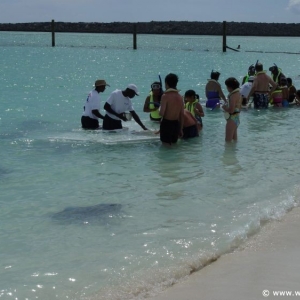 Castaway-Cay_104