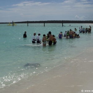 Castaway-Cay_106