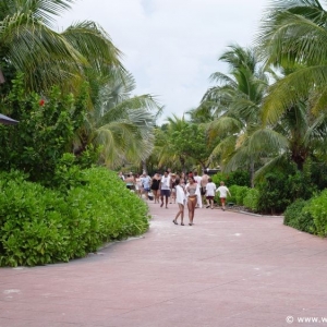 Castaway-Cay_182