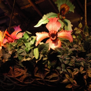 Tiki Room Flowers