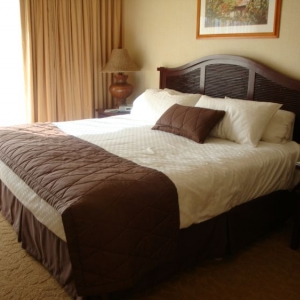 Room 329
